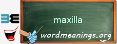 WordMeaning blackboard for maxilla